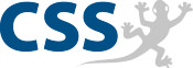 CSS Management und Strategie - Logo
