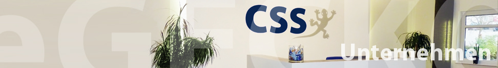 CSS - Rechnungswesen